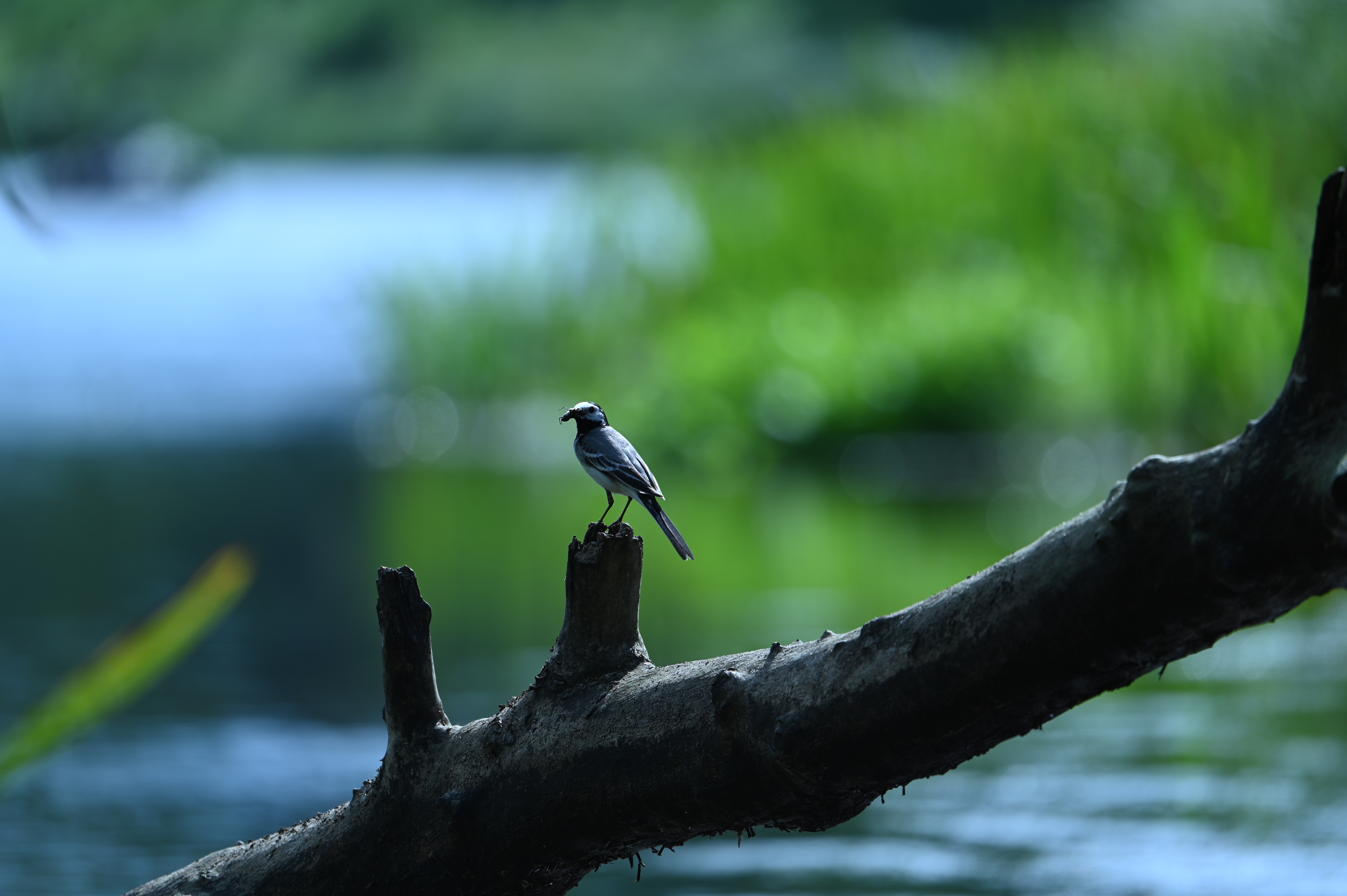 2025/07/09-14 - trip/DSC_0349.JPG